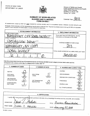New York Work-Related Injuries and Illnesses Summary Form
