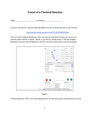 Chemical Reaction Lab Report