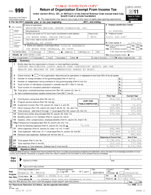 Form 990 Tax Exempt Organization Return