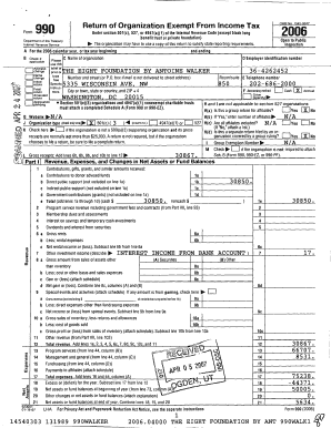 IRS Form 990 2006