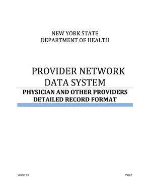 New York State Physician Provider Data Form