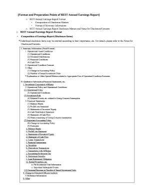 REIT Annual Earnings Report Format