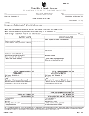 Financial Statement for Bond Application
