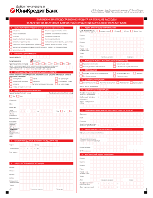 Unicredit Bank Credit Application Form