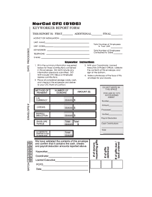 NorCal CFC Keyworker Report Form