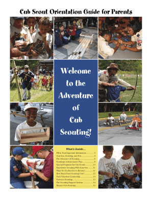 Fillable Online Instruction Sheet for Declaration for Free Entry of ...