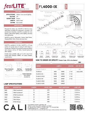 festLITE FL4000-IX Order Form