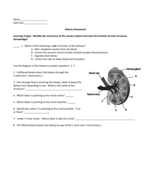Kidney Homework Worksheet
