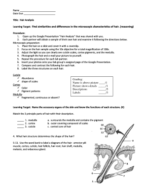 Hair Analysis Lab Worksheet