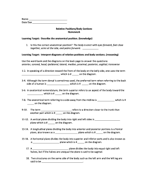 Anatomical Position Homework