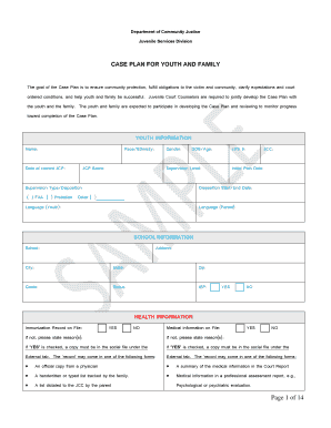 Case Plan for Youth and Family