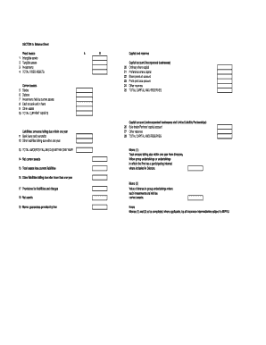 UK Financial Firm Balance Sheet and Profit and Loss Account