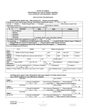 Hawaii Child Support Application