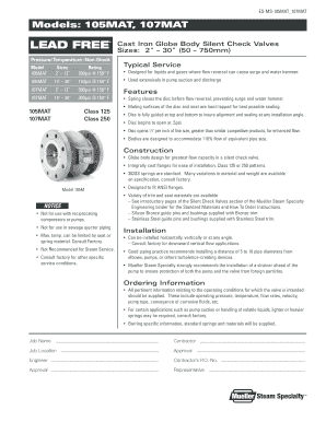 Lead Free Cast Iron Globe Body Silent Check Valves