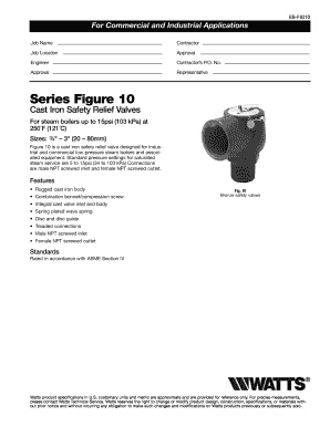 Cast Iron Safety Relief Valve Form