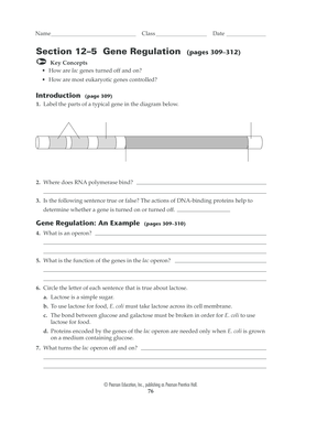 Gene Regulation Worksheet