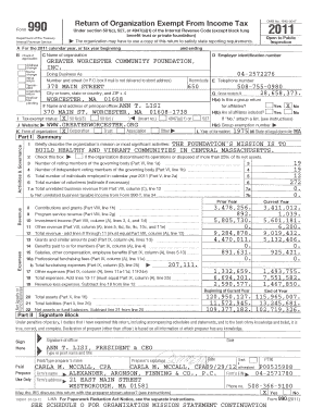 Form 990 Tax Exempt Organization Return