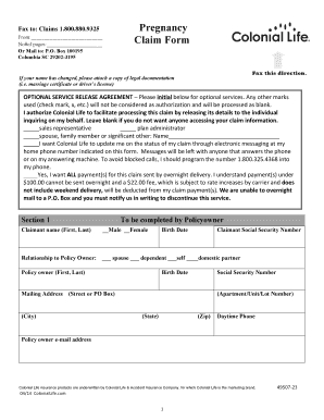 Pregnancy Claim Form