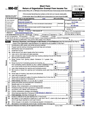 Form 990-EZ 2013