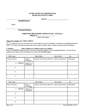 Parenting Proceeding Affidavit