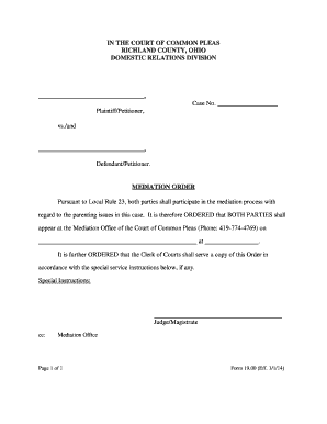 Ohio Mediation Order