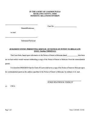Judgment Entry Permitting Service of Notice of Intent to Relocate
