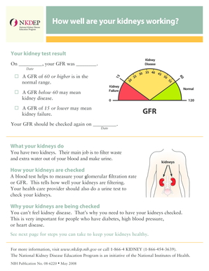 Kidney Function Test Result