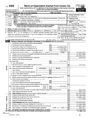 Form 990 Tax Exempt Organization Return