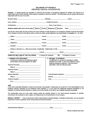 Delaware City Schools Emergency Medical Authorization