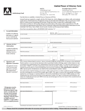 Limited Power of Attorney Form