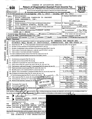 IRS Form 990 Change of Accounting Period