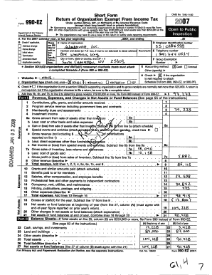 Form 990-EZ Tax Return