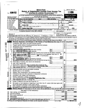 Form 990-EZ Tax Return