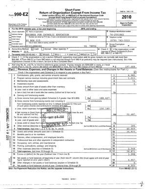 Form 990-EZ 2010
