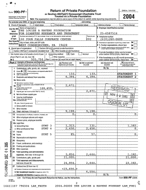 Form 990-PF 2004
