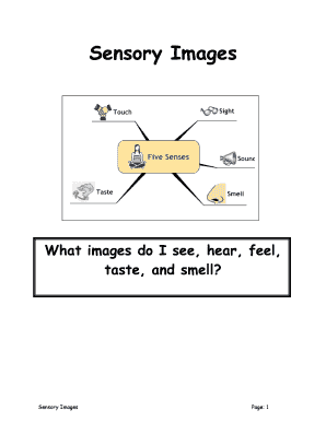 Sensory Images Unit Study Guide