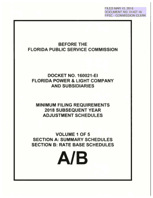 BEFORE THE DOCKET NO 160021-EI FLORIDA POWER MINIMUM - psc state fl