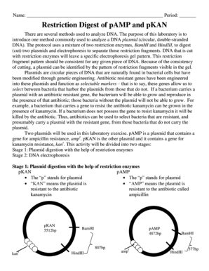 Restriction Digest of pAMP and pKAN Lab Report