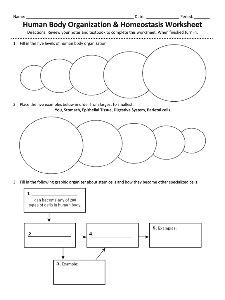 Human Body Organization and Homeostasis Worksheet - Fill and Sign Inside Levels Of Organization Worksheet