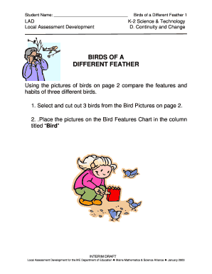 Birds of a Different Feather Worksheet
