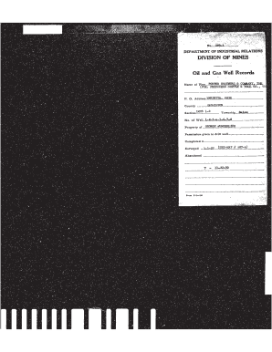 Oil and Gas Well Record Form
