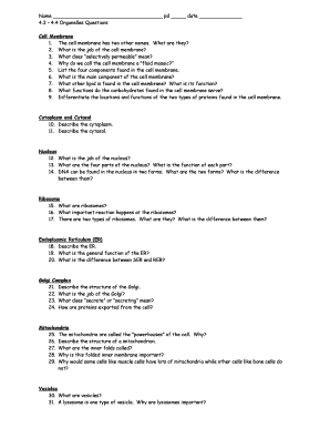 Organelles Questions Worksheet