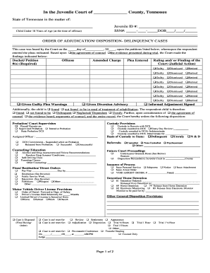 Order of Adjudication/Disposition - Delinquency Cases