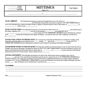 Tennessee Court Mittimus Form