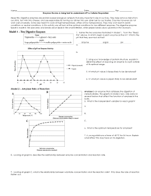 Enzymes Review and ATP Cellular Respiration Worksheet