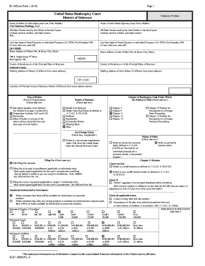 US Bankruptcy Court Voluntary Petition