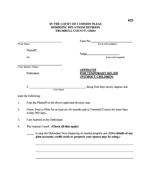 Ohio Divorce Affidavit for Temporary Relief