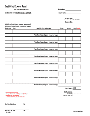 Credit Card Expense Report - lsscedu