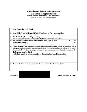 Witness Disclosure Form