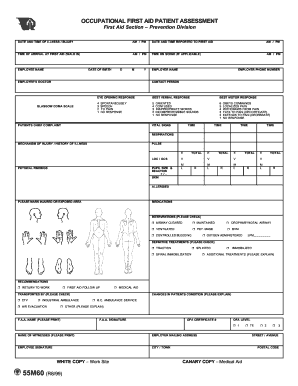 Occupational First Aid Patient Assessment Form